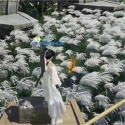射雕手游梅花肯瓷怎么收集 射雕手游梅花肯瓷收集方法攻略