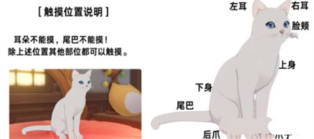 原神茸茸城堡大喵险第四关怎么过 第四关阿呆的奇幻乐园流程攻略