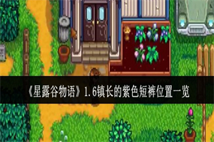 星露谷物语1.6镇长的紫色短裤在哪 镇长的紫色短裤详细位置介绍