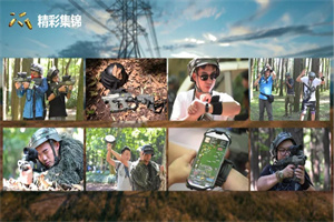 真人互动游戏合集