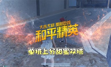 和平精英游戏大全