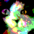 猫梦境下载