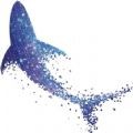 星鲨线上VR学院下载
