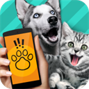 Pet Translator(宠物对话翻译器)下载