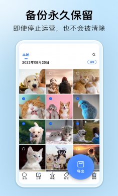 深林集影下载