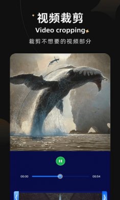 大师兄视频编辑器下载3