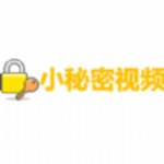 小秘密视频下载