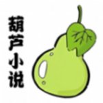 葫芦小说阅读器下载