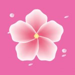 粉色视频下载