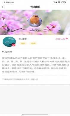 千山视频下载2