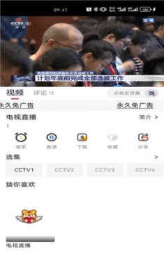 新小老虎影视下载3
