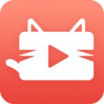猫咪视频下载