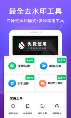 短视频去水印大师下载4