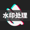 短视频去水印大师下载