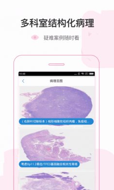 鉴黄师下载