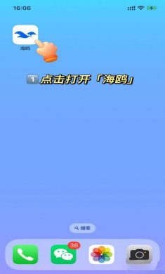 海鸥app下载2