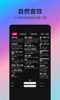 音编美声下载