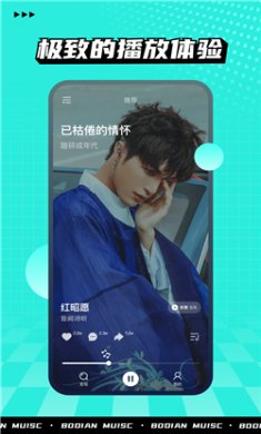 波点音乐2024下载4