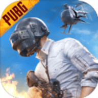地铁逃生国际服(pubg mobile)下载