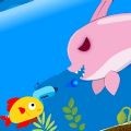 离开水的鱼下载