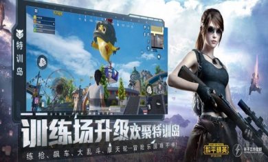呆呆国体一体化修改器下载2