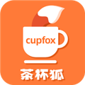 茶杯狐软件安装下载
