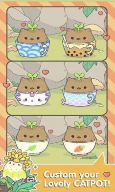我的猫盆栽下载2