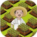 有块菜地下载