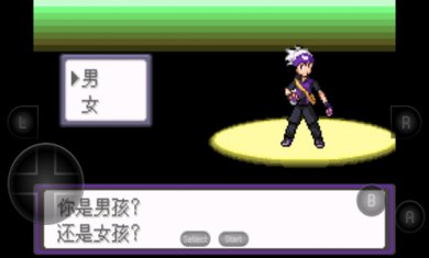 口袋妖怪漆黑的魅影下载2