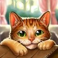 猫救援故事下载