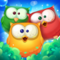 猫头鹰消消乐(Owl Pop Blast)下载