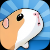 豚鼠桥下载