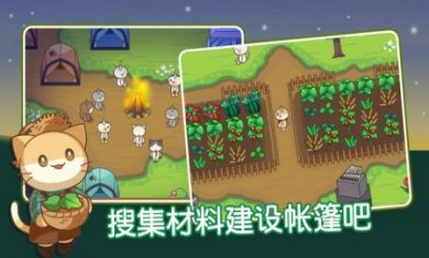 猫咪森林下载4