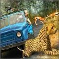 野生生存狩猎下载