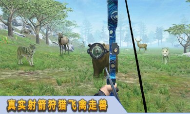 射箭达人下载