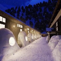 逃离温泉村下载