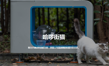 哈啰街猫app官方安卓版下载
