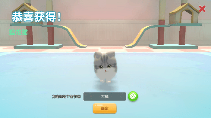 养了个猫破解最新版下载4
